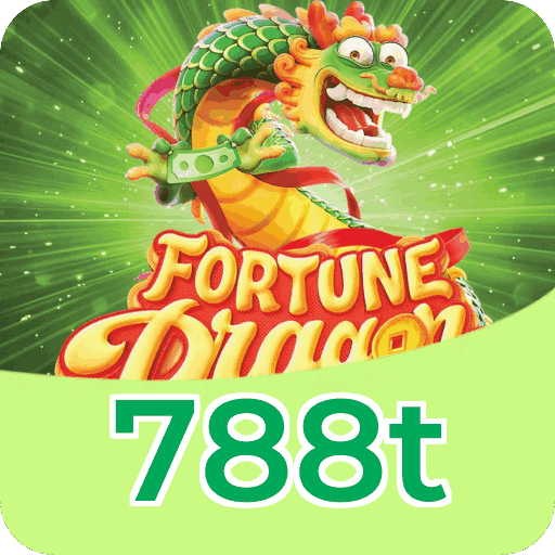 Métodos de pagamento aceitos na 788t